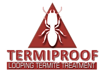 termite types